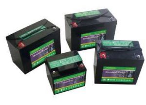 Baterias_ Lead_Acid_Standar_Range_VRLA