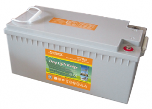 Baterias_ Lead_GEL_Deep_cycle_gel_access_Ft_Range_VRLA