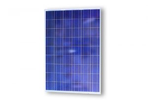 Modulos_Solares_156x156_Poly_Solar_Panel